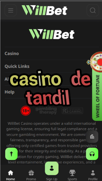 Casino de Tandil - Argentina's Hilltop Casino-casinoorder.vip